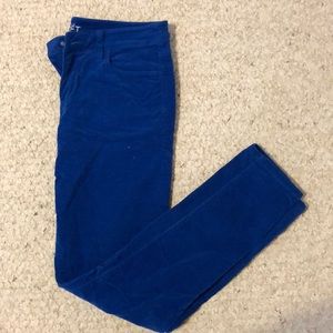Loft Royal blue corduroy super skinny pant